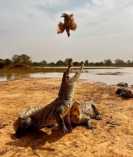 burkinafaso-5