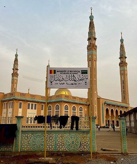 guinea-10