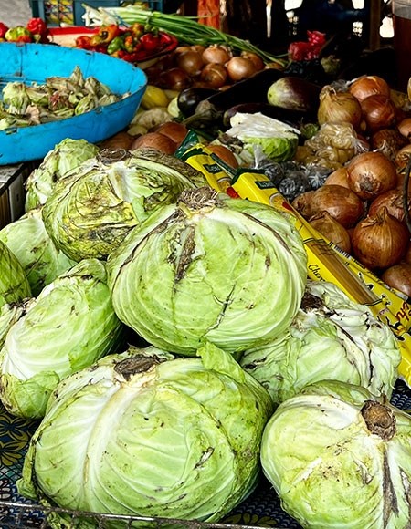 guinea-14