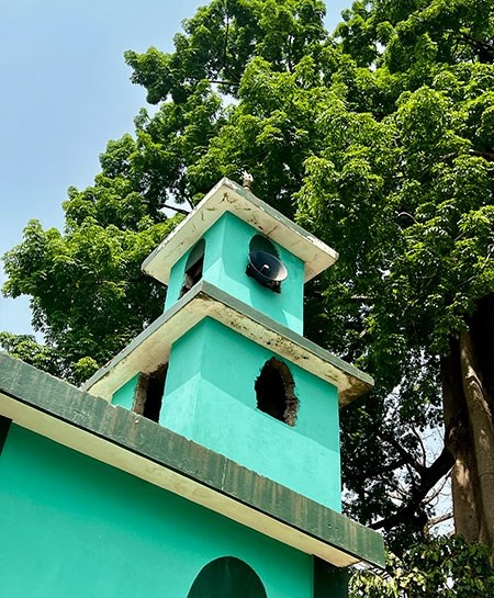 guinea-30