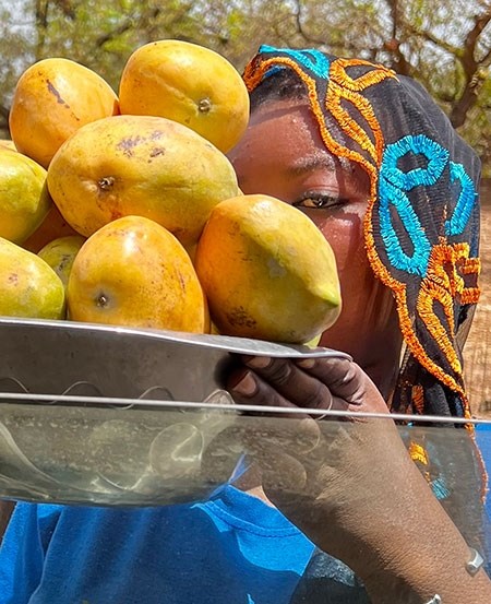 mali-20