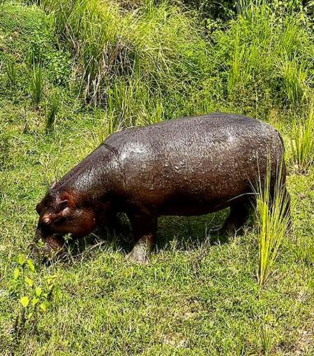 uganda-26