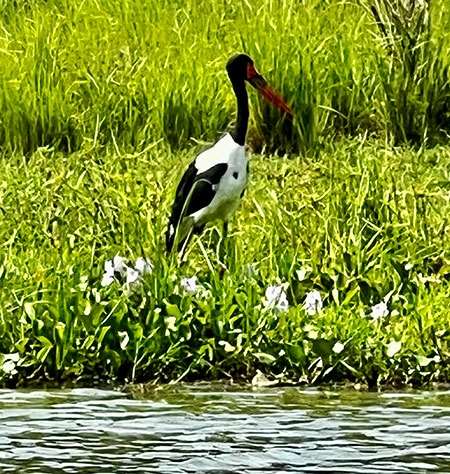 uganda-29
