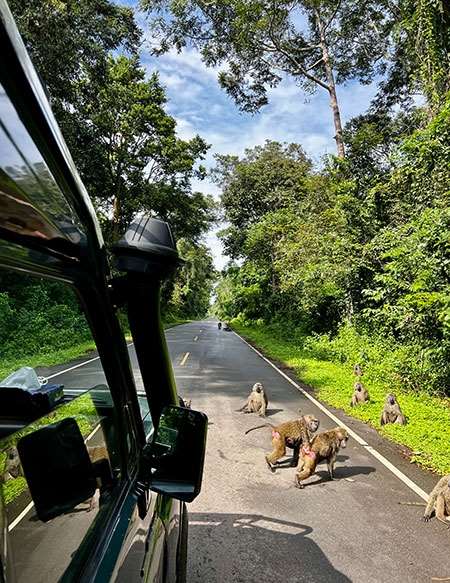 uganda-36