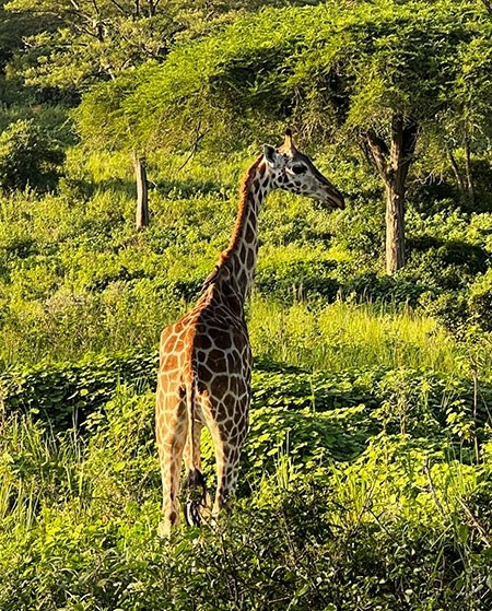 uganda-41