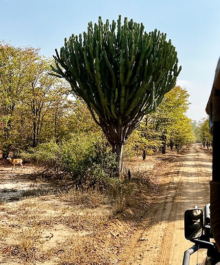 malawi-43