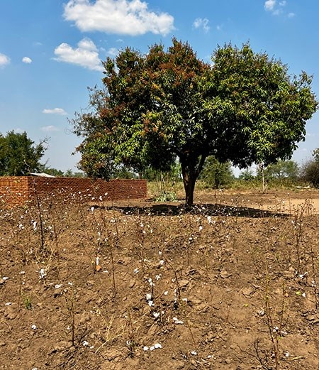 malawi-47