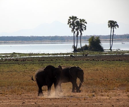 malawi-63