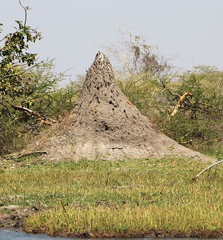 malawi-75