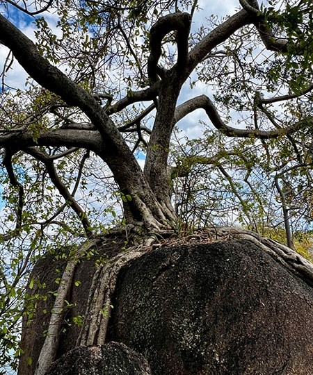 malawi-85